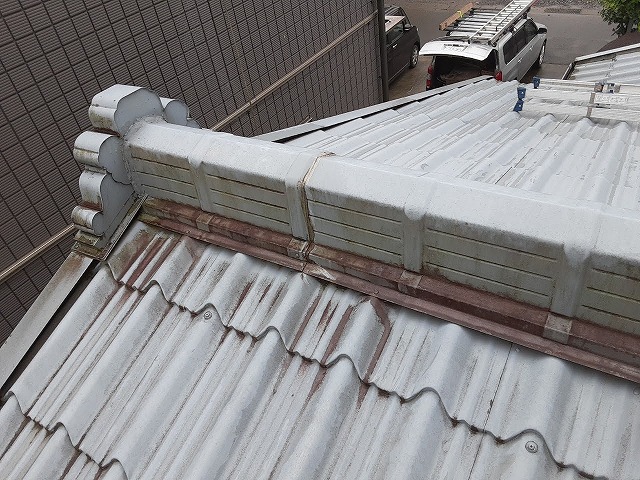 金属瓦屋根に苔